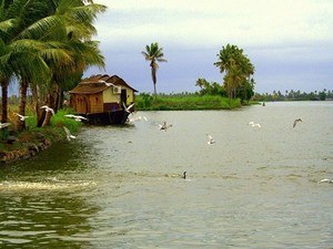 Alumkadavu