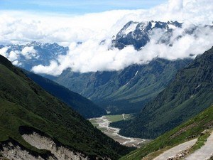 Yumthang Valley & Shingba Rhododendron Sanctuary