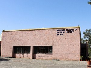 Regional Museum Of Natural History