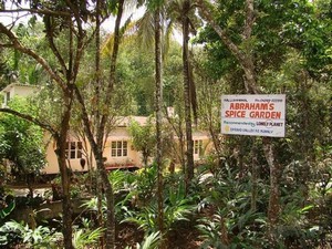 Abrahams Spice Garden