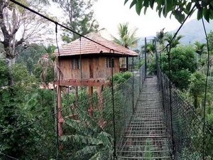 Green Park Ayurvedic & Spices Plantation