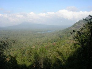 Parambikulam Wildlife Sanctuary, Near Palakkad