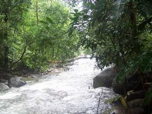 Chimmony Wildlife Sanctuary