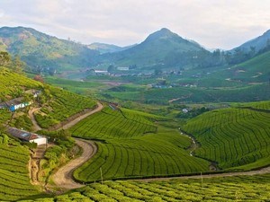 Megamalai Viewpoint