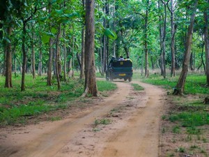 Rukhad Jeep Safari