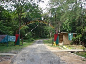 Mount Harriet National Park - Port Blair