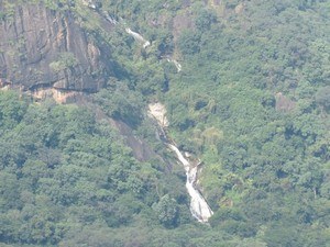 Hornbill Viewpoint