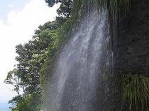 jog falls tour package from mangalore