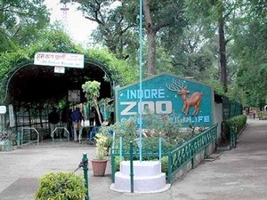 tourist places near indore junction