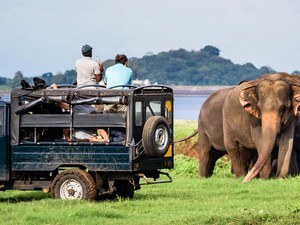 Yala Jeep Safari