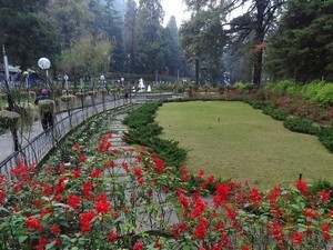 Company Bagh / Municipal Garden