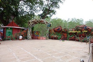 Butterfly Park