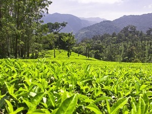 kerala tourist places in tamil