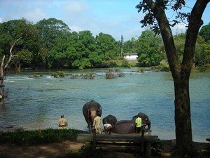Dubare Elephant Camp