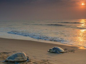 Balghai Beach
