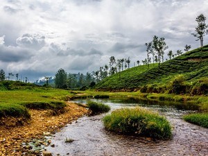 Kuzhankal River View