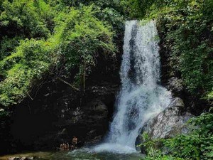 trivandrum tourist places waterfalls