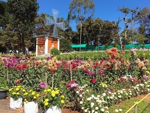 Poopoli Wayanad Flower Show
