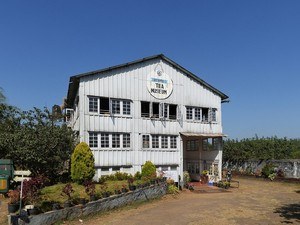 Wayanad Tea Museum & Tea Tasting Tour