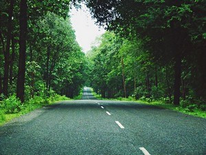 Best Time to Vist Maredumilli