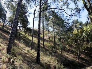 Gilbert Trail