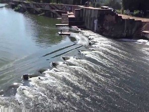 Barua Sagar