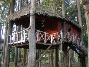 Padmapuram Gardens