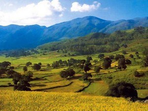 Araku Valley Tourist Places