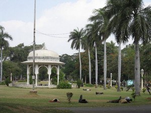 Public Gardens