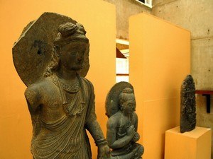Zonal Anthropological Museum