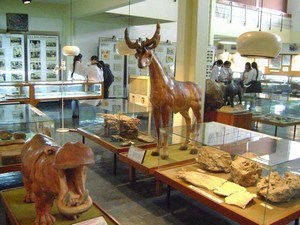 Wadia Institute Of Himalayan Geology