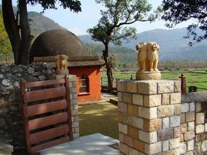 Kalsi