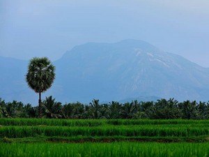 best places to visit in trichy