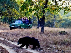 Churna Full Day Jeep Safari