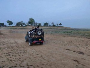 Panaarpani Jeep Safari