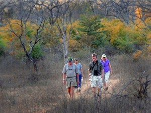 Walking Safari & Mobile Camping