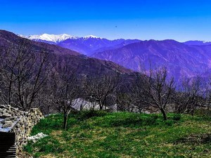 Kotgarh