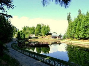 Tani Jubbar Lake