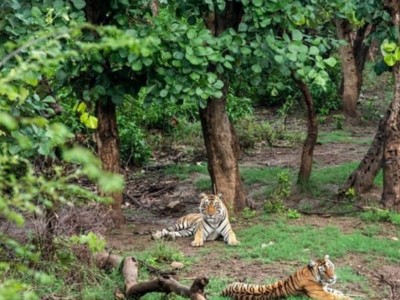 Ramgarh Vishdhari Wildlife Sanctuary