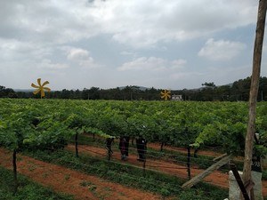 tourist places near bangalore for weekend