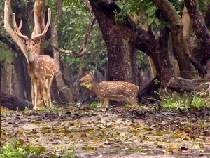 tourist places near mysore jn