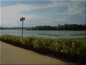 Kukkarahalli Lake