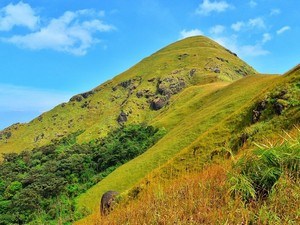 Jenukal Gudda / Jenukallu Peak