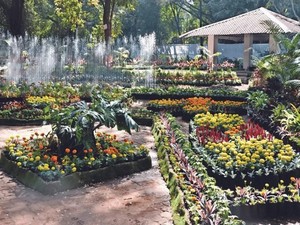 Empress Botanical Garden