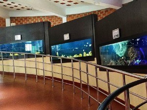 Varkala Aquarium