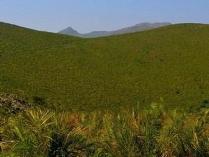 Mahindra Peak Trek