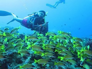 Scuba Diving In Bangaram