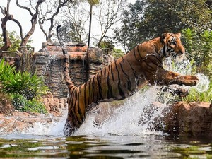 Mumbai Zoo / Jijabai Udyan / Byculla Zoo