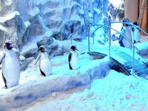 Snow World