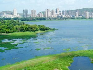 Powai Lake